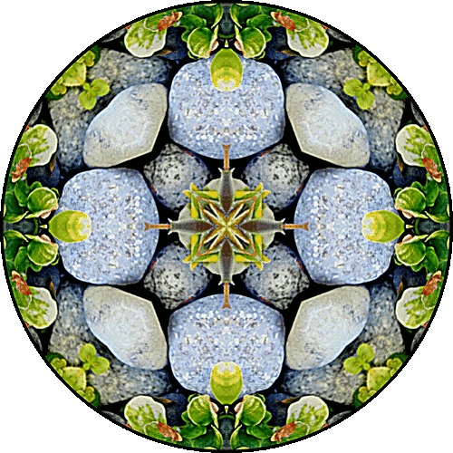 Daily Digital Mandala 342