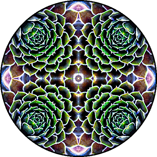 Daily Digital Mandala 350
