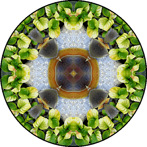 Daily Digital Mandala 376