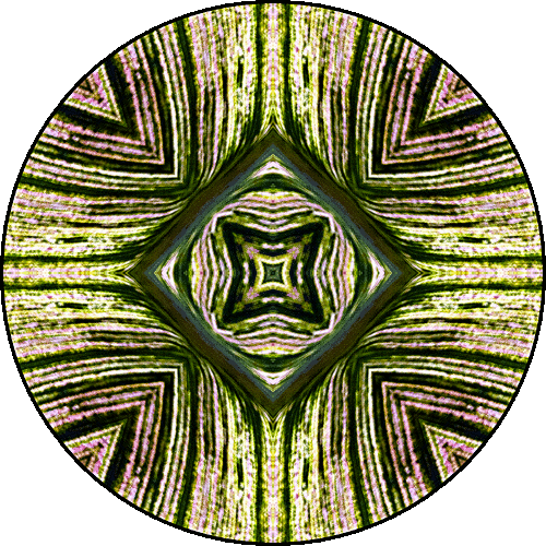 Daily Digital Mandala 381