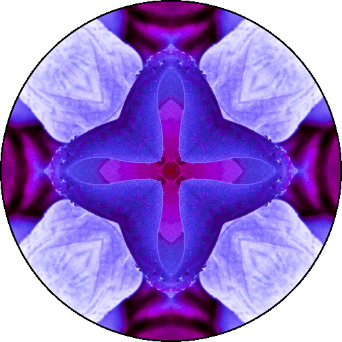 Daily Digital Mandala 383