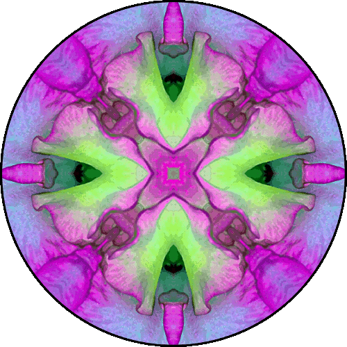 Daily Digital Mandala 386