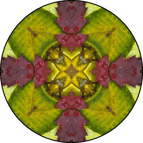 Daily Digital Mandala 391