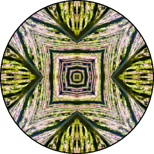 Daily Digital Mandala 392