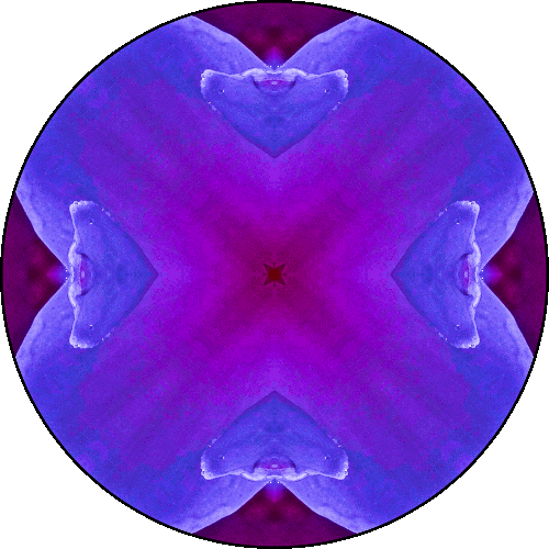 Daily Digital Mandala 394