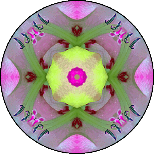 Daily Digital Mandala 397