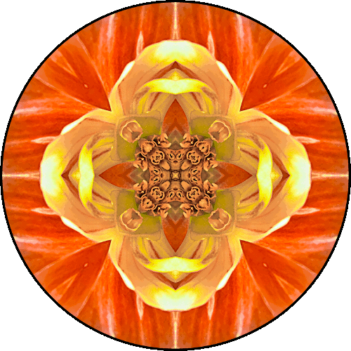 Daily Digital Mandala 400