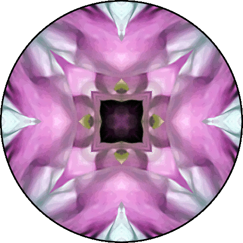 Daily Digital Mandala 408