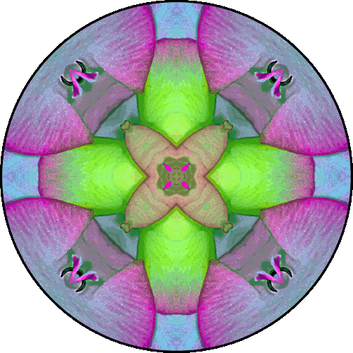 Daily Digital Mandala 410