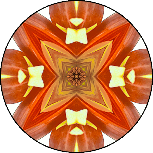 Daily Digital Mandala 422
