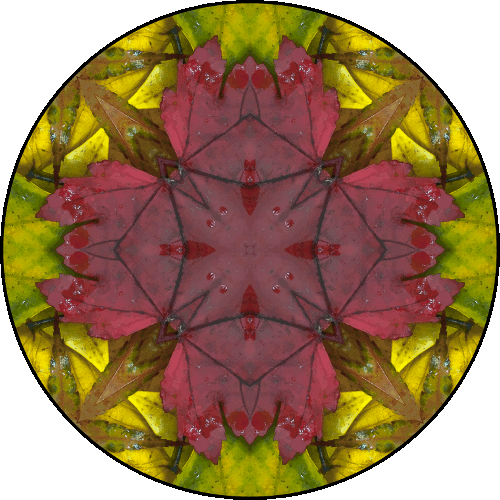 Daily Digital Mandala 412