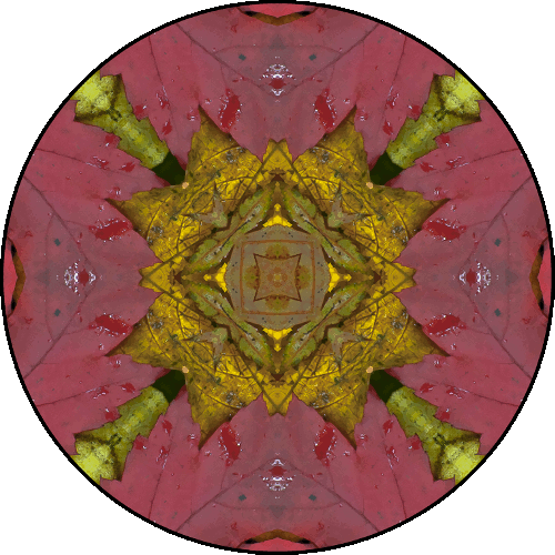 Daily Digital Mandala 402