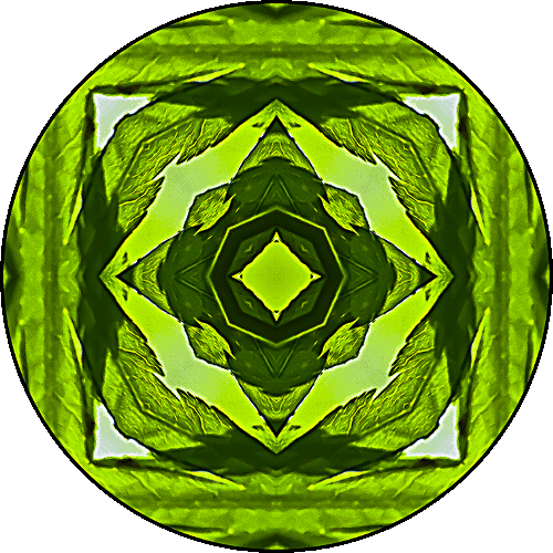 Daily Digital Mandala 406