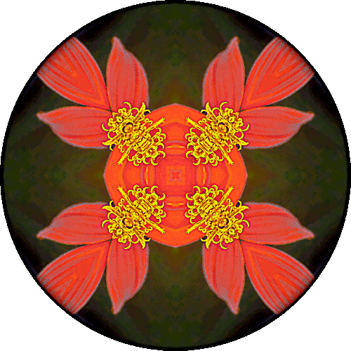 Daily Digital Mandala 407