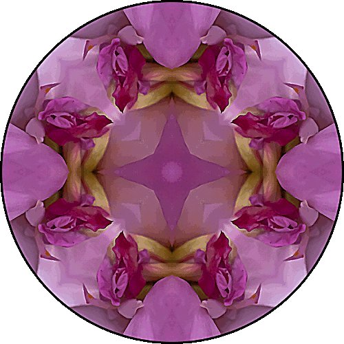 Daily Digital Mandala 420