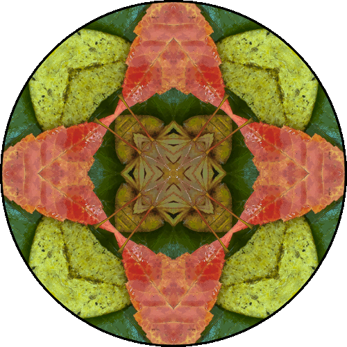 Daily Digital Mandala 435