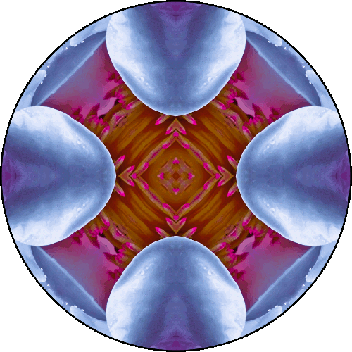 Daily Digital Mandala 427