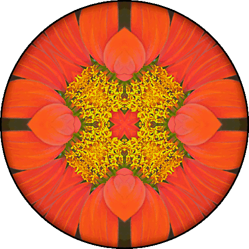 Daily Digital Mandala 429