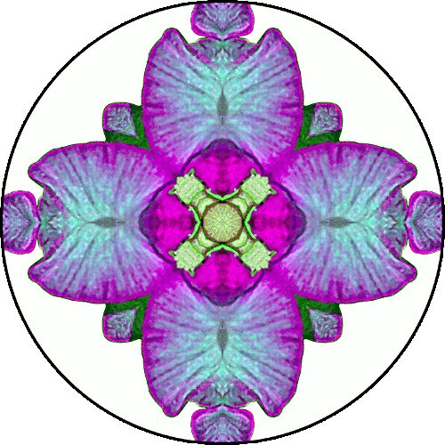 Daily Digital Mandala 419