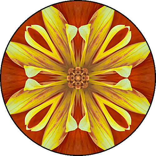 Daily Digital Mandala 433