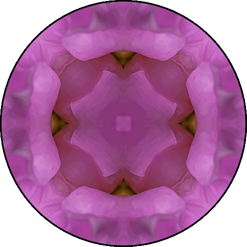 Daily Digital Mandala 441