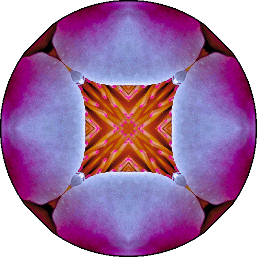 Daily Digital Mandala 438