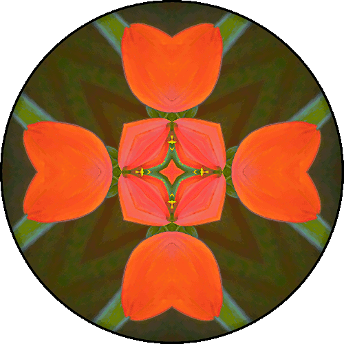 Daily Digital Mandala 440