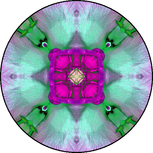 Daily Digital Mandala 442