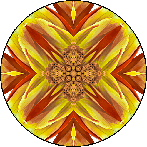 Daily Digital Mandala 444