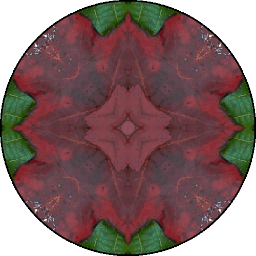 Daily Digital Mandala 445