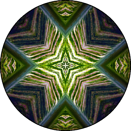 Daily Digital Mandala 447
