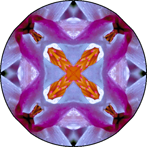 Daily Digital Mandala 460