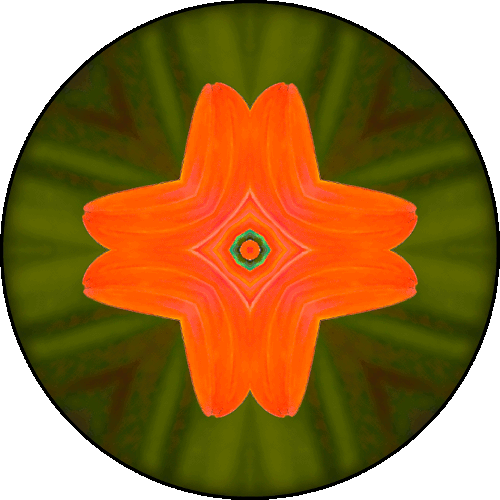 Daily Digital Mandala 462