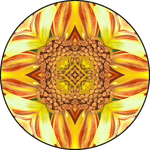 Daily Digital Mandala 455