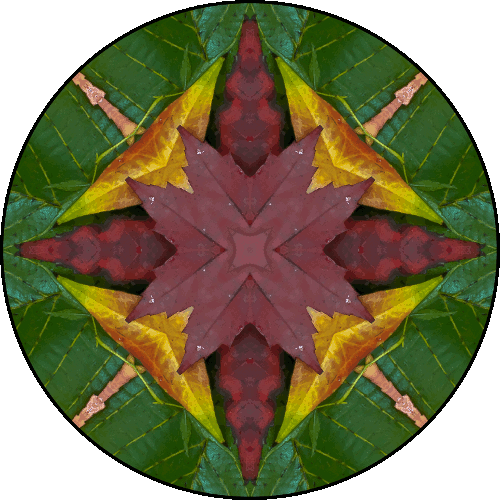 Daily Digital Mandala 424