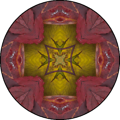 Daily Digital Mandala 457