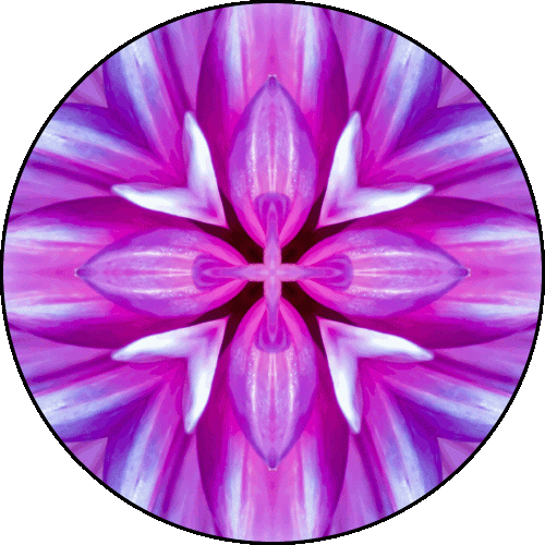 Daily Digital Mandala 466