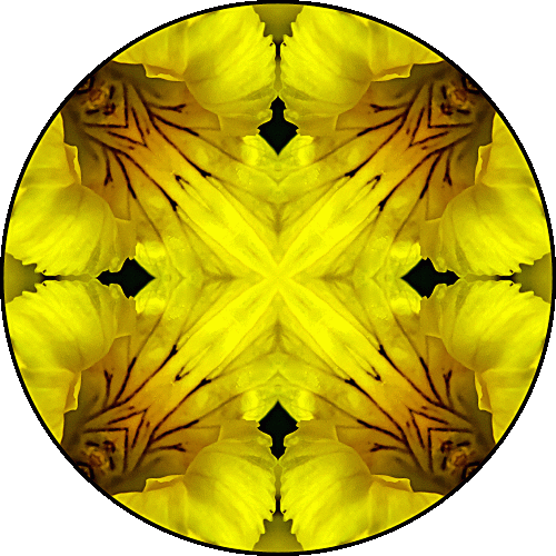 Daily Digital Mandala 480