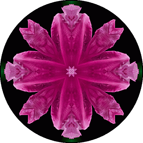 Daily Digital Mandala 469