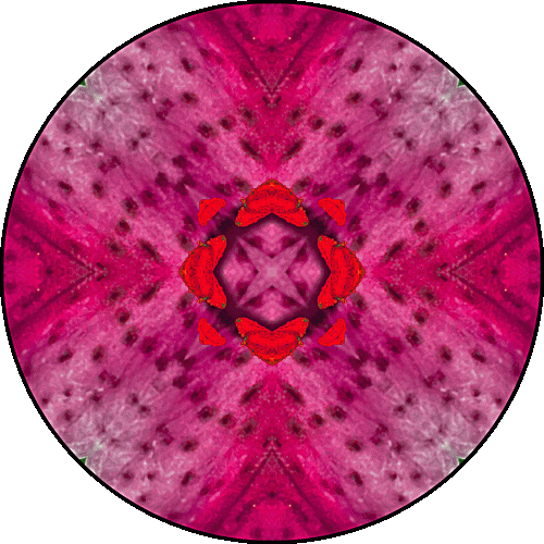 Daily Digital Mandala 472