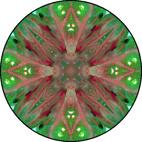 Daily Digital Mandala 484