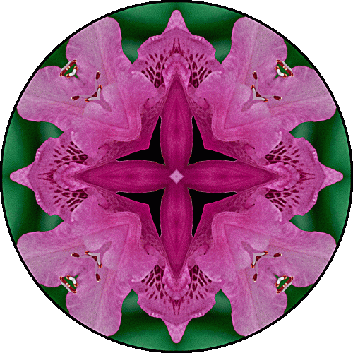 Daily Digital Mandala 485