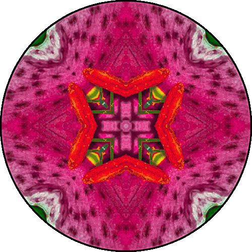 Daily Digital Mandala 488
