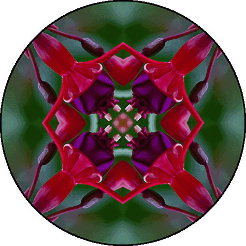 Daily Digital Mandala 490