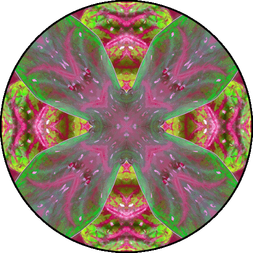 Daily Digital Mandala 500