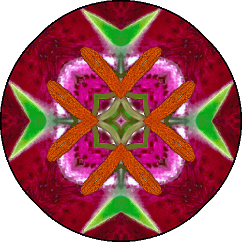 Daily Digital Mandala 505