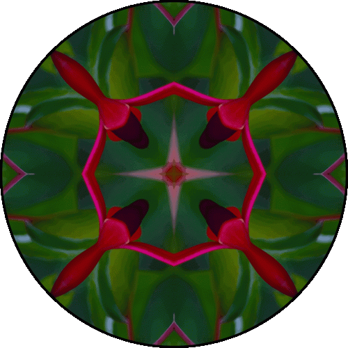 Daily Digital Mandala 506