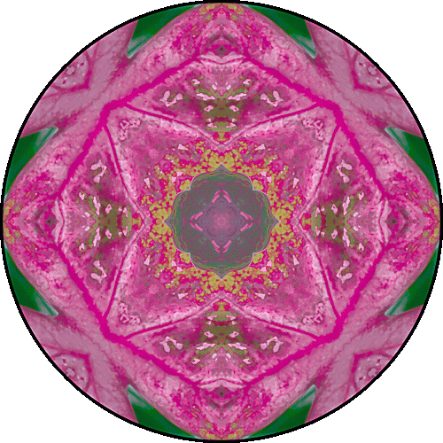Daily Digital Mandala 517