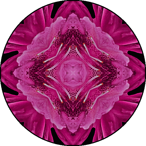 Daily Digital Mandala 501