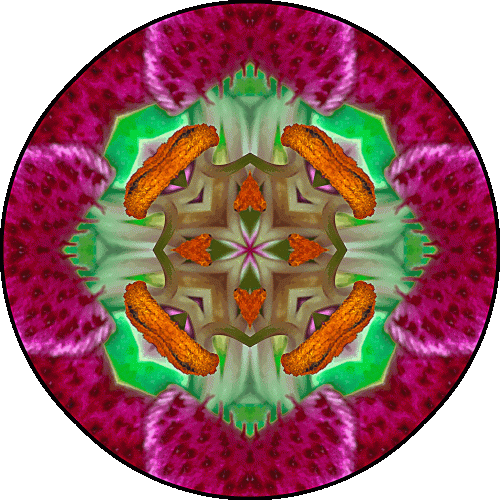 Daily Digital Mandala 522